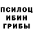 Галлюциногенные грибы мухоморы Isabella Qahramanova