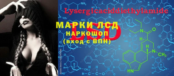 ГАЛЛЮЦИНОГЕННЫЕ ГРИБЫ Аркадак