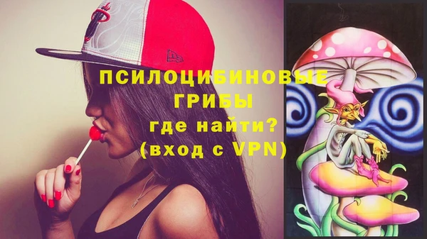 Альфа ПВП Армянск