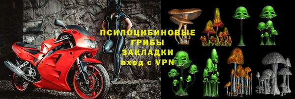 ГАЛЛЮЦИНОГЕННЫЕ ГРИБЫ Аркадак